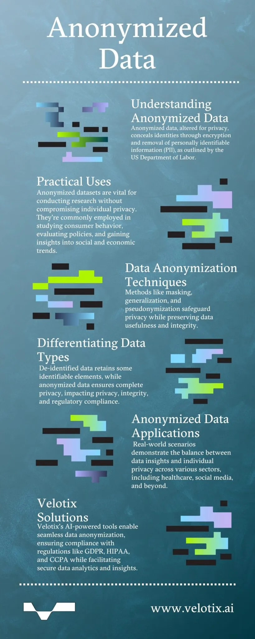 Anonymized Data | Velotix